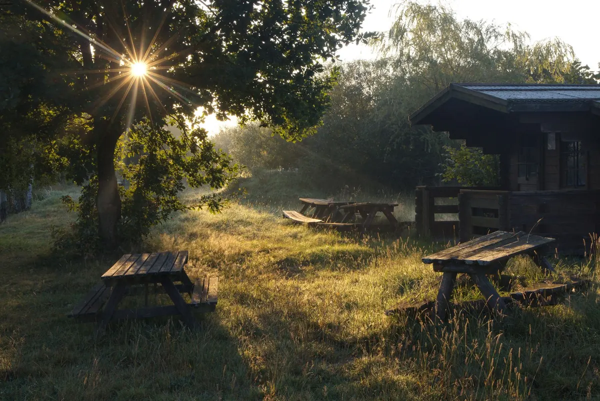 Best Picnic Stops on the A1: A Local's Guide